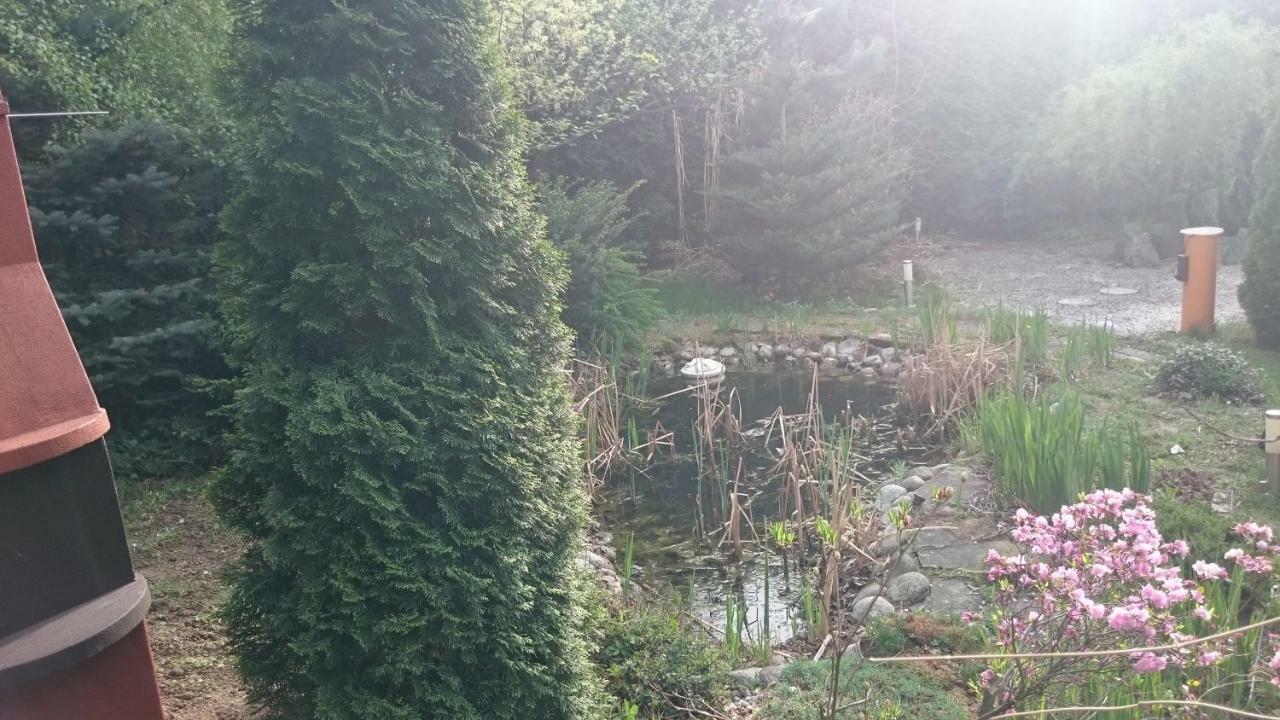 Bastowka 2 Apartamenty Ustroń Esterno foto
